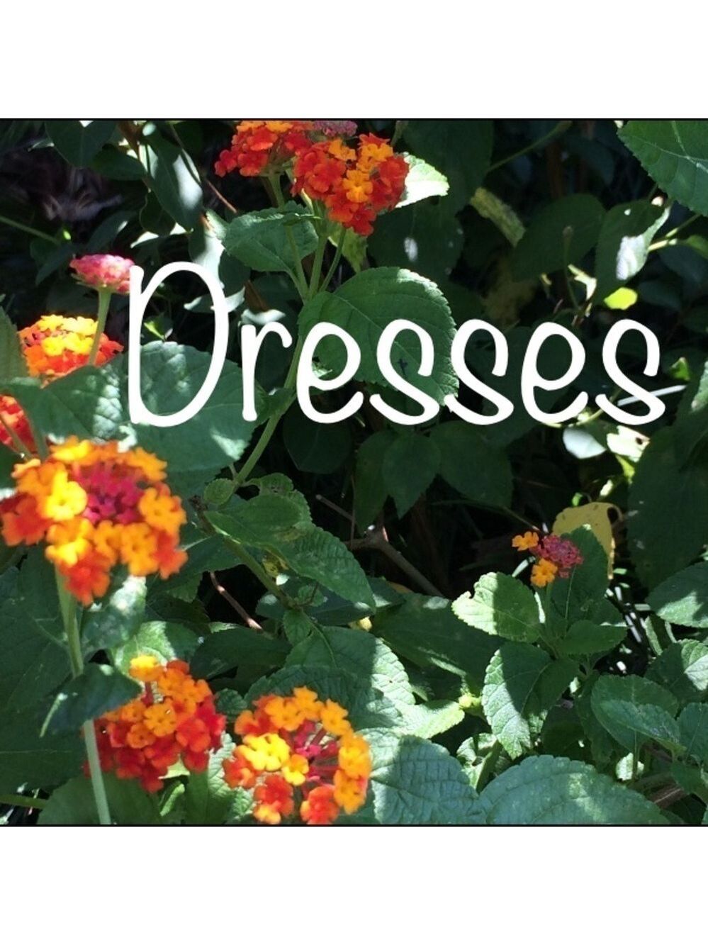 Dresses